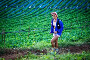 BIB: 
                            <button type="button" onclick="openModal(19160100)" class="btn btn-primary btn-sm float-right btn-popup" data-toggle="modal" data-target=".modal-high-quality">
                        <i class="fas fa-shopping-cart"></i> Add to Cart
                    </button>
                                            <button type="button" onclick="isThisMe(19160100, true)" class="btn btn-success btn-sm float-right btn-popup btn-isme hidden" data-toggle="tooltip" data-placement="bottom" title="นี่คือรูปของคุณใช่ไหม คลิกที่นี่เพื่อเอาเข้าอัลบั้ม">
                        <i class="fas fa-plus"></i> Add to album
                    </button>
                    <button type="button" onclick="isThisMe(19160100, false)" class="btn btn-warning btn-sm float-right btn-popup btn-isnotme hidden">
                        <i class="fas fa-ban"></i> Remove from album
                    </button>